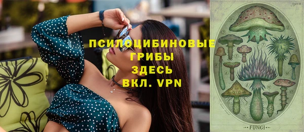ПСИЛОЦИБИНОВЫЕ ГРИБЫ Зерноград