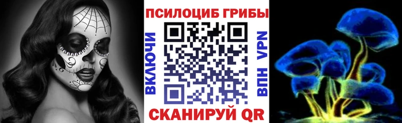 Галлюциногенные грибы MAGIC MUSHROOMS гидра как зайти Полесск